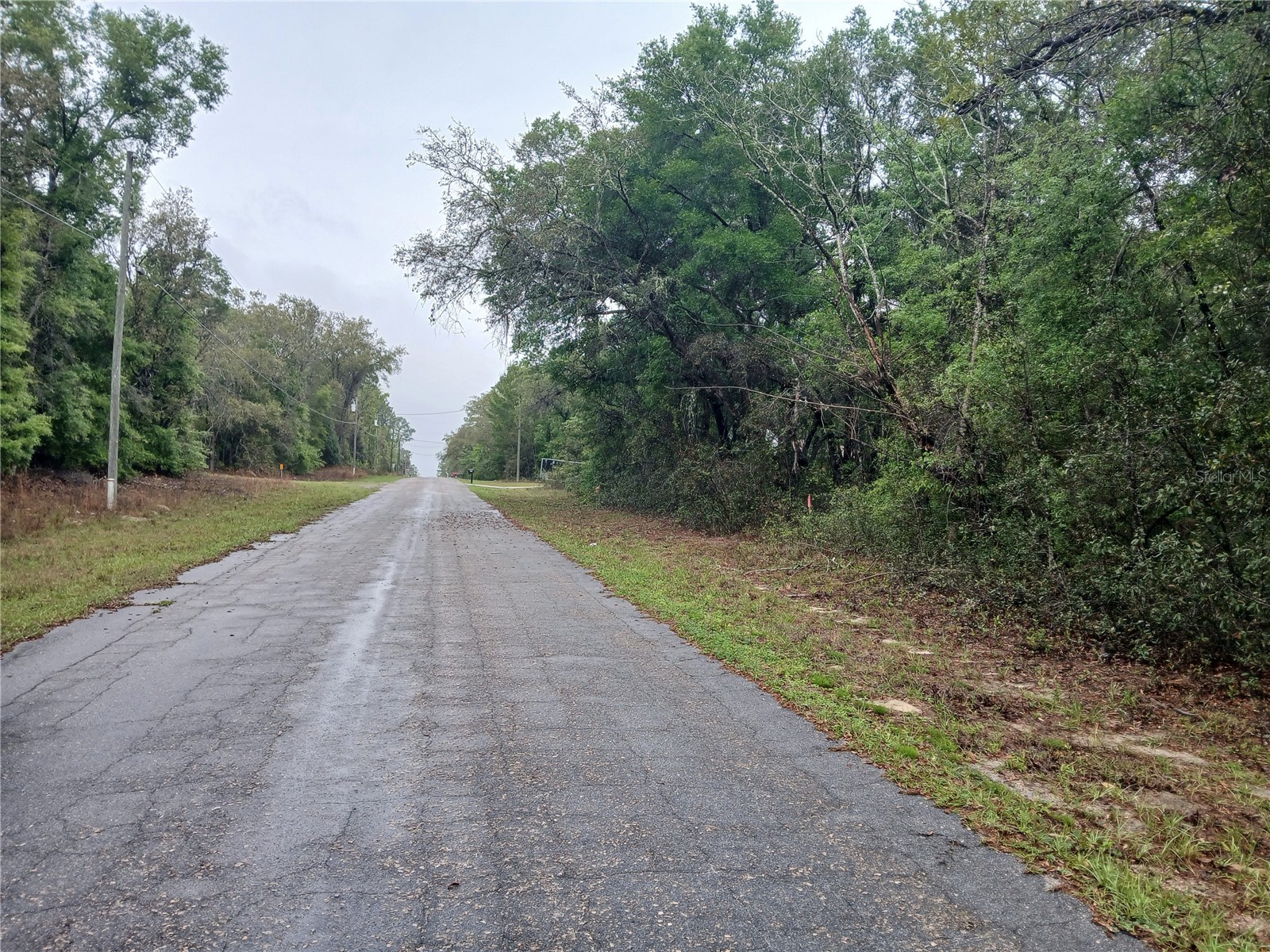 7851 N Vince Drive Citrus Springs FL 34434 OM722250 image5