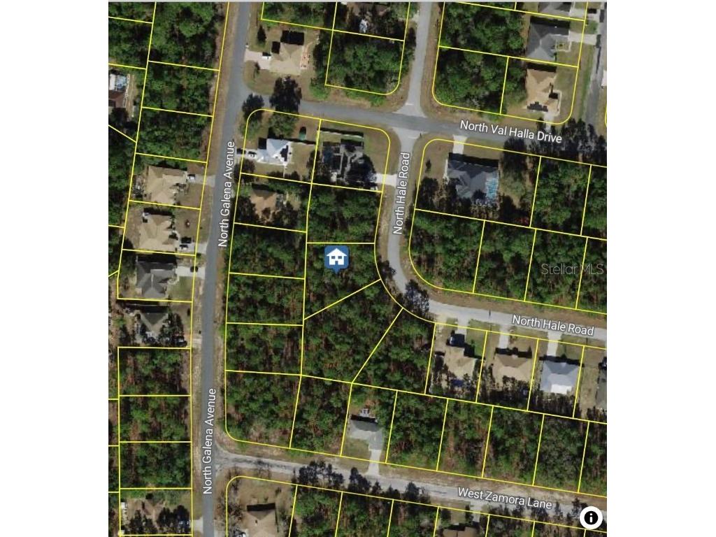 7852 N Hale Road Citrus Springs FL 34433 O6329531 image2