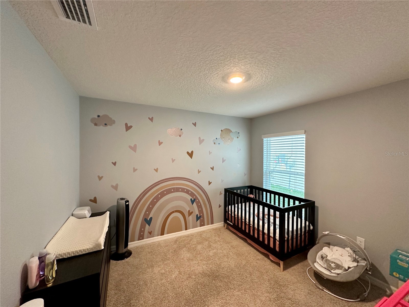 7855 Davie Ray Dr Zephyrhills FL 33540 T3505613 image16