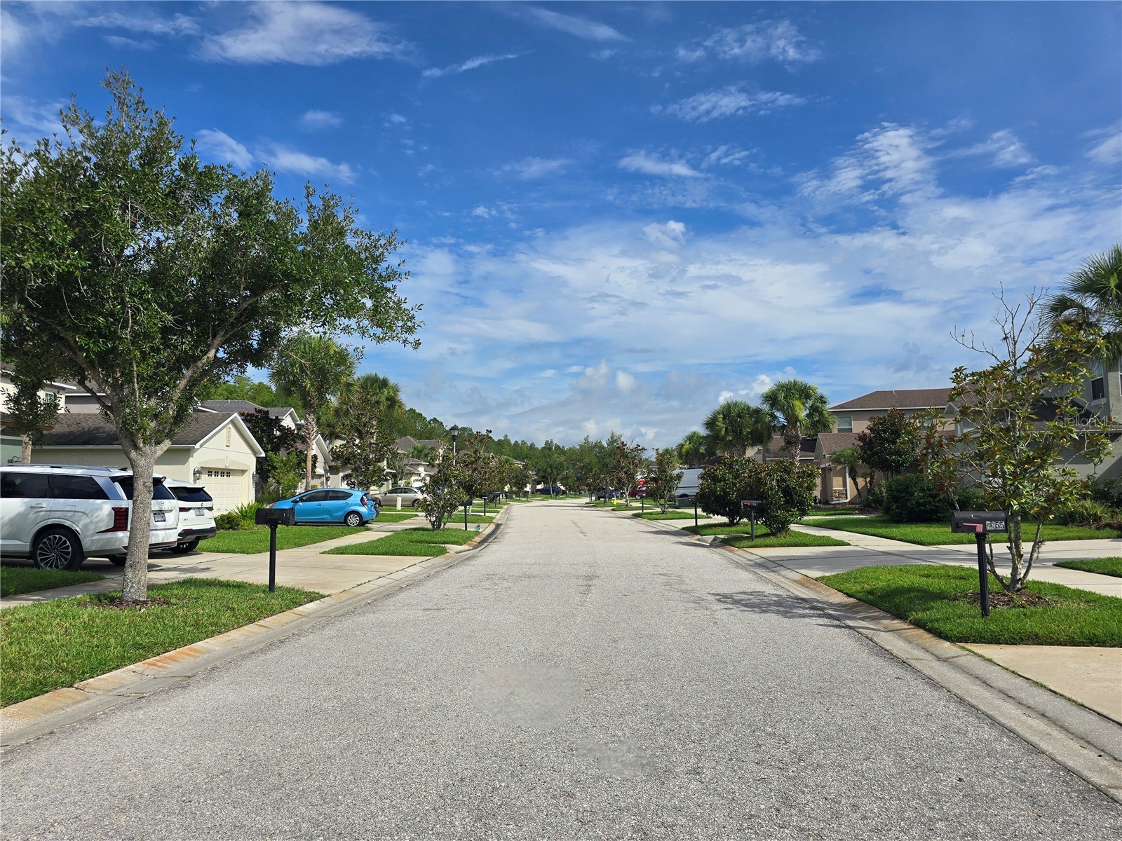 7855 Tuscany Woods Drive Tampa FL 33647 TB8527588 image43