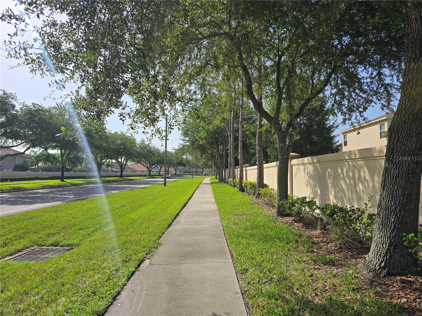 7855 Tuscany Woods Drive Tampa FL 33647 TB8527588 image48