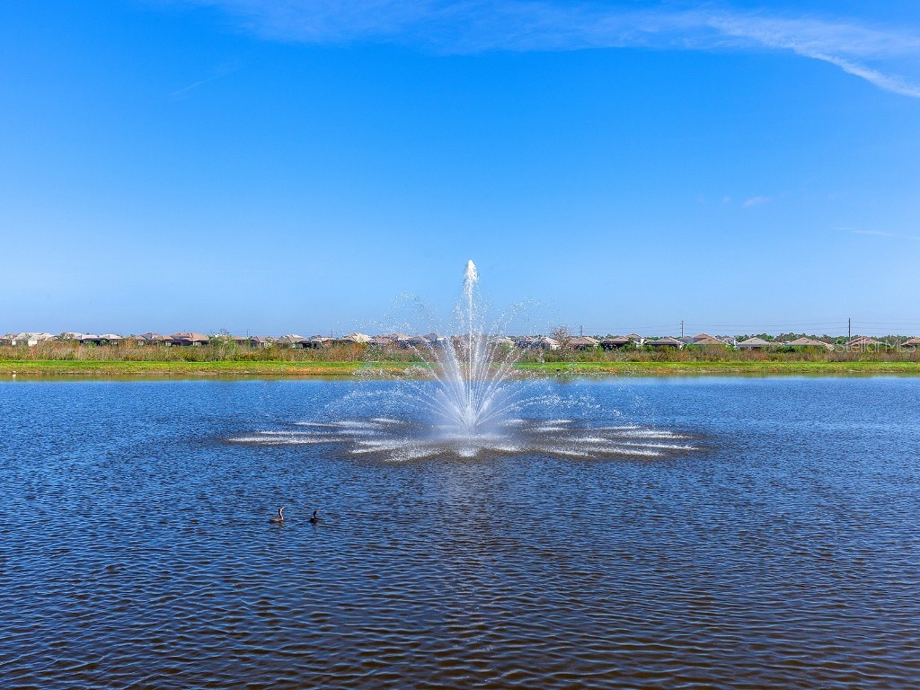 7857 Redonda Loop Lakewood Ranch FL 34202 A4672364 image40