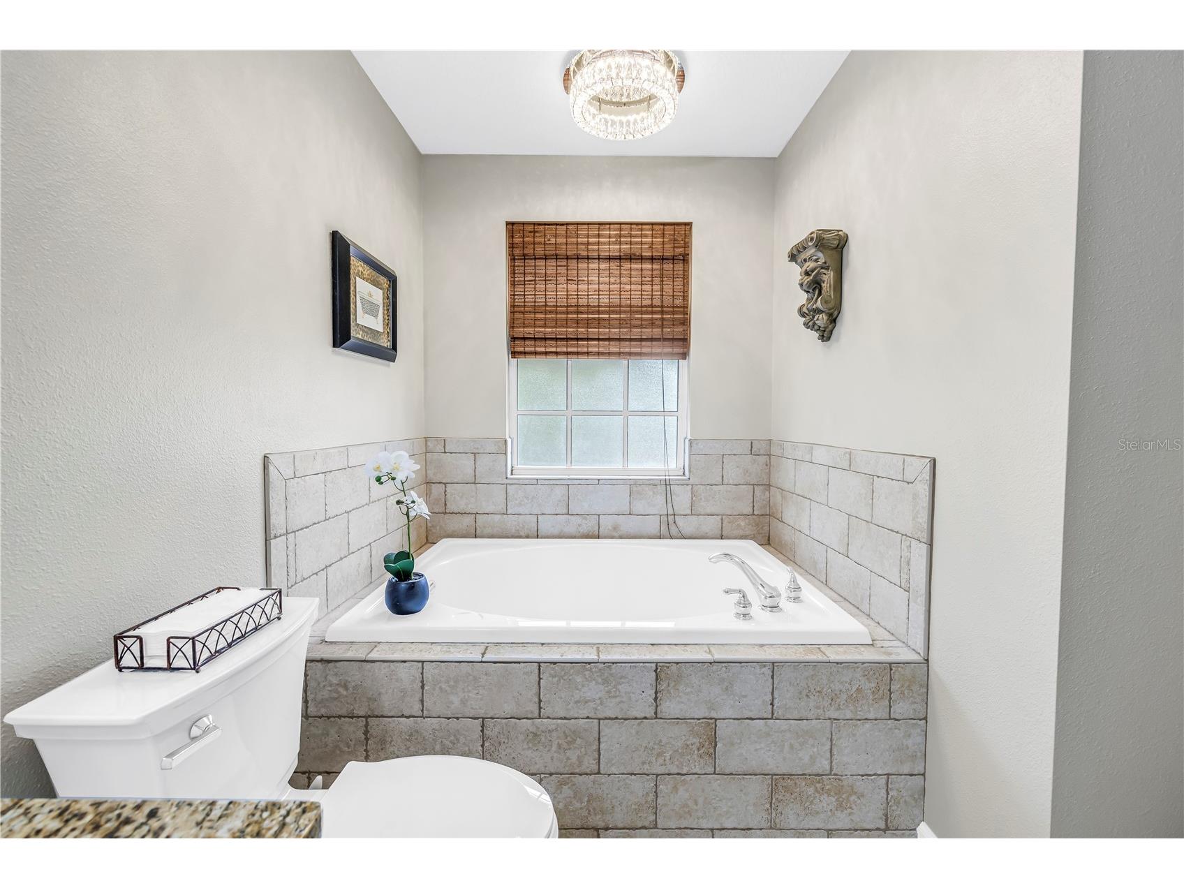 786 59th Avenue NE Saint Petersburg FL 33703 TB8486574 image47