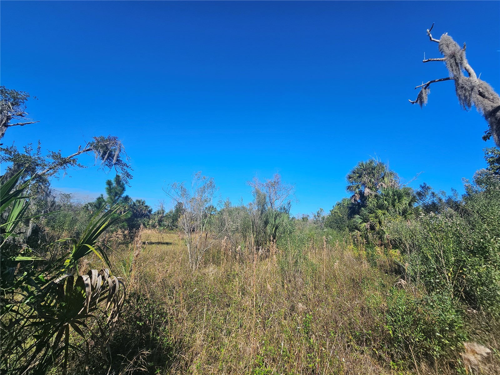 786 Fort Florida Road Debary FL 32713 R4910393 image2