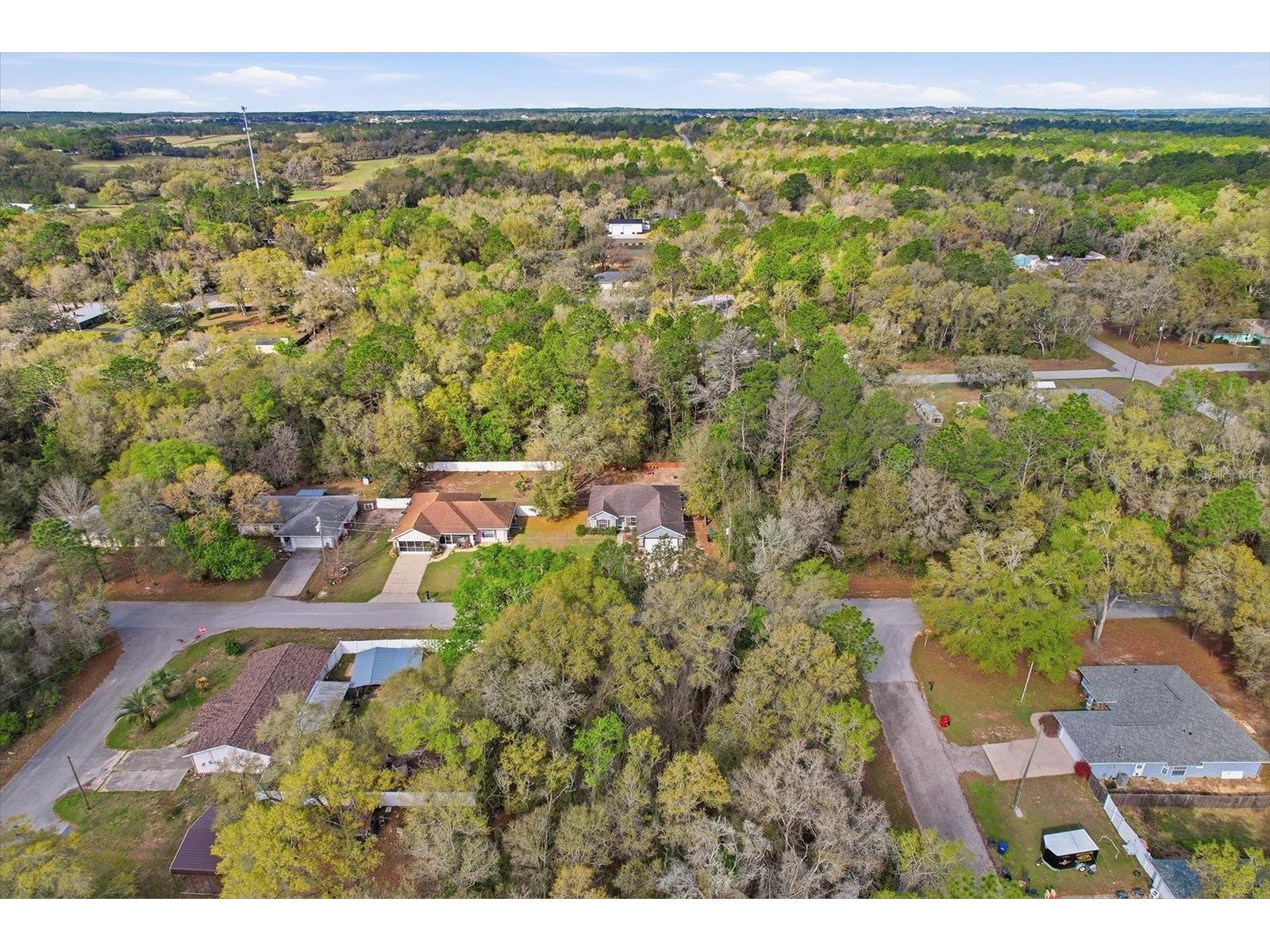 786 N Dugan Avenue Inverness FL 34453 TB8485480 image42