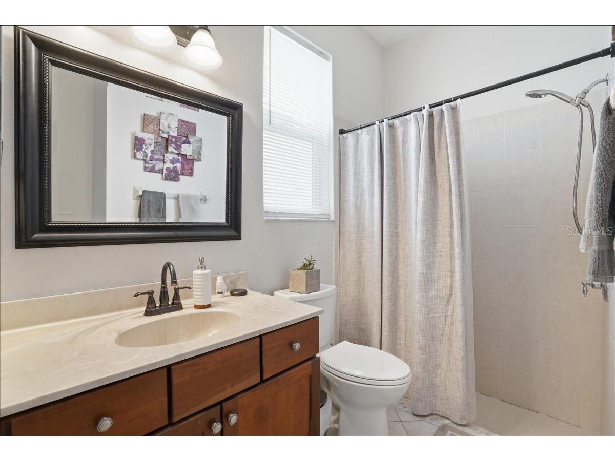 7860 Atwood Drive Wesley Chapel FL 33545 A4687985 image16