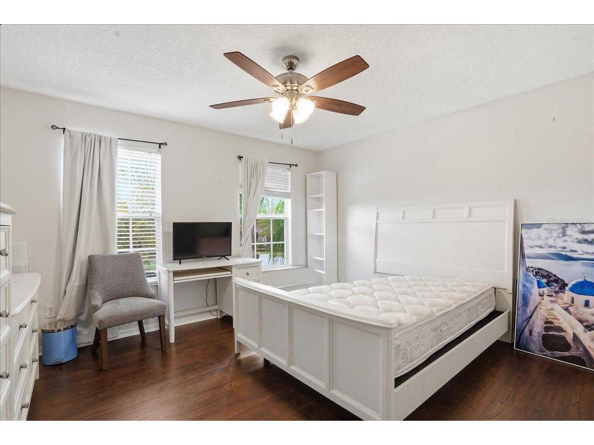 7860 Atwood Drive Wesley Chapel FL 33545 A4687985 image27