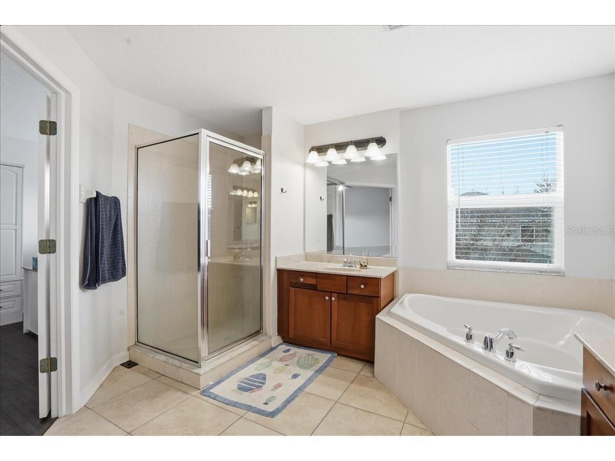 7860 Atwood Drive Wesley Chapel FL 33545 A4687985 image28