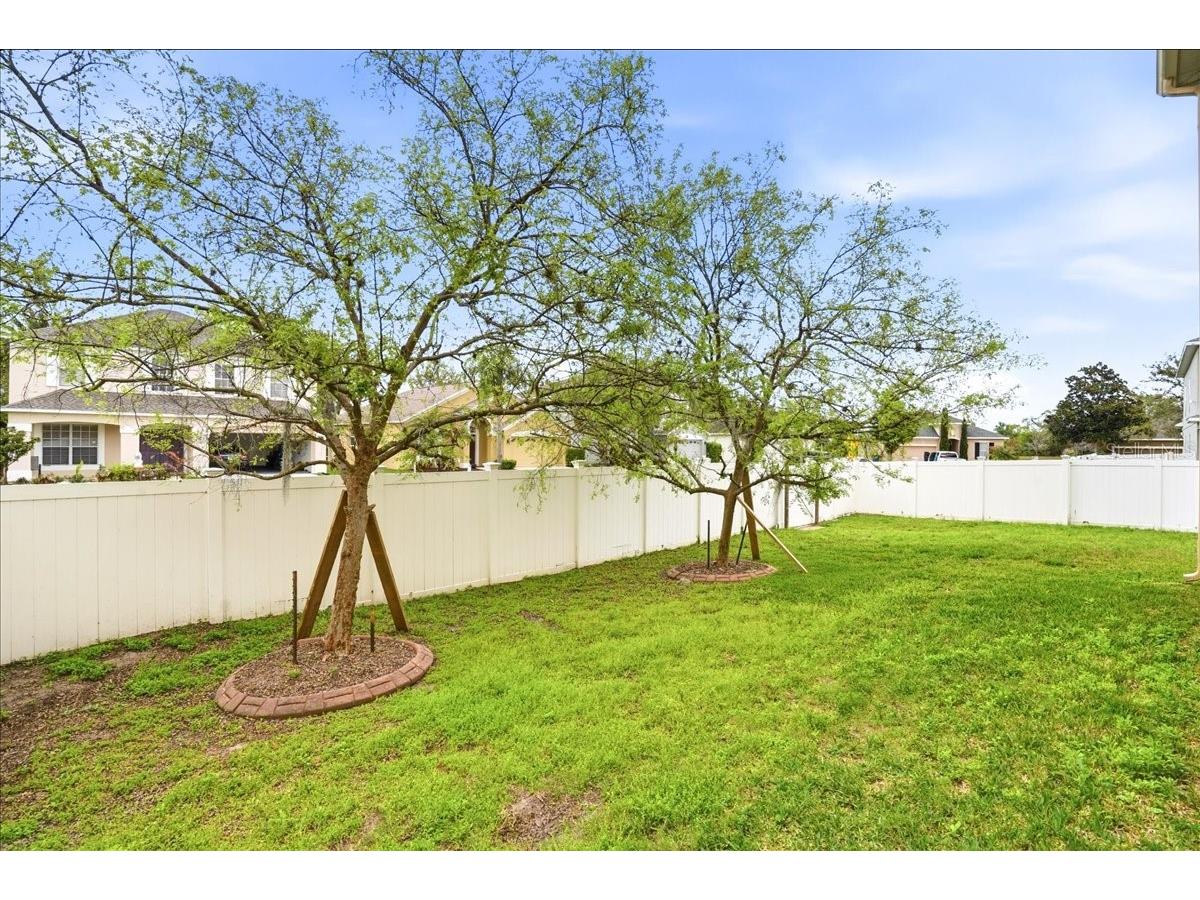 7860 Atwood Drive Wesley Chapel FL 33545 A4687985 image38