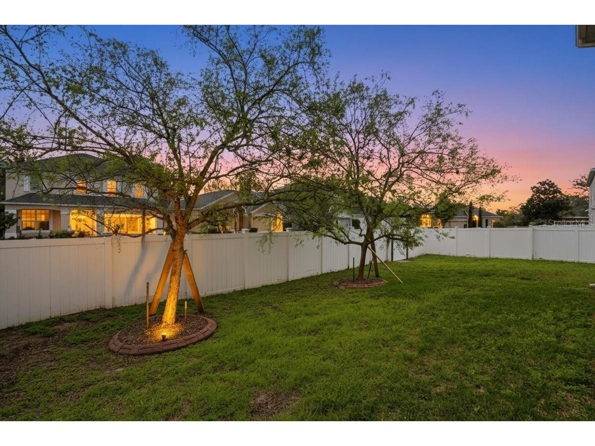 7860 Atwood Drive Wesley Chapel FL 33545 A4687985 image45