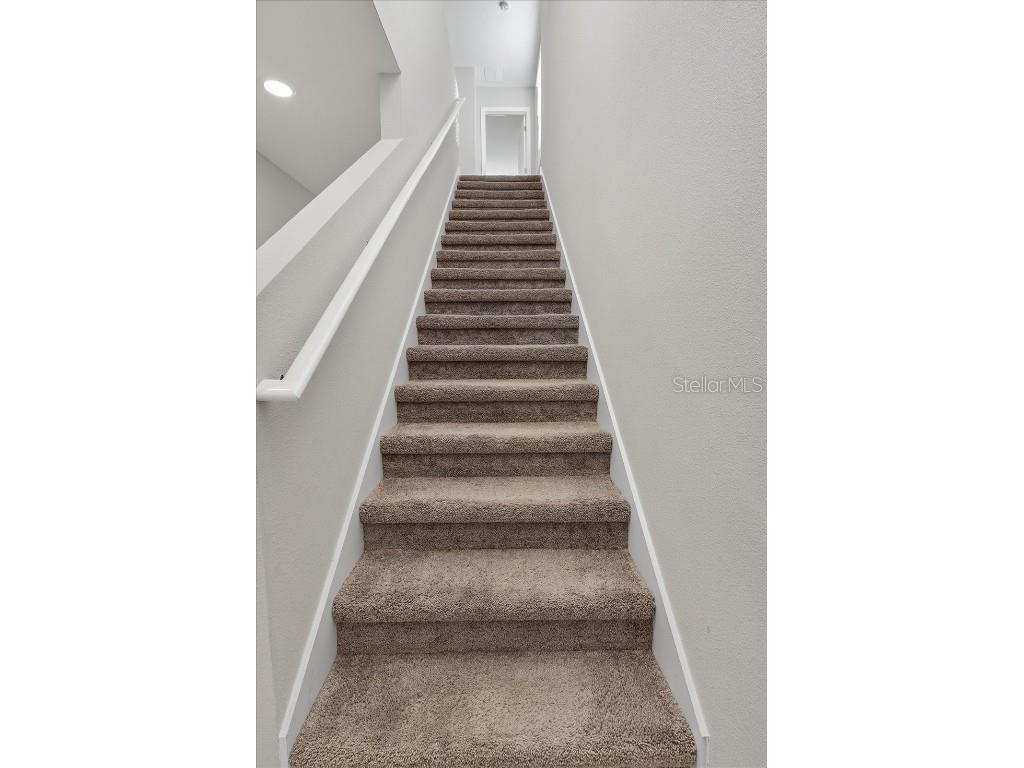 7860 Peace Lily Avenue Wesley Chapel FL 33545 TB8448881 image20