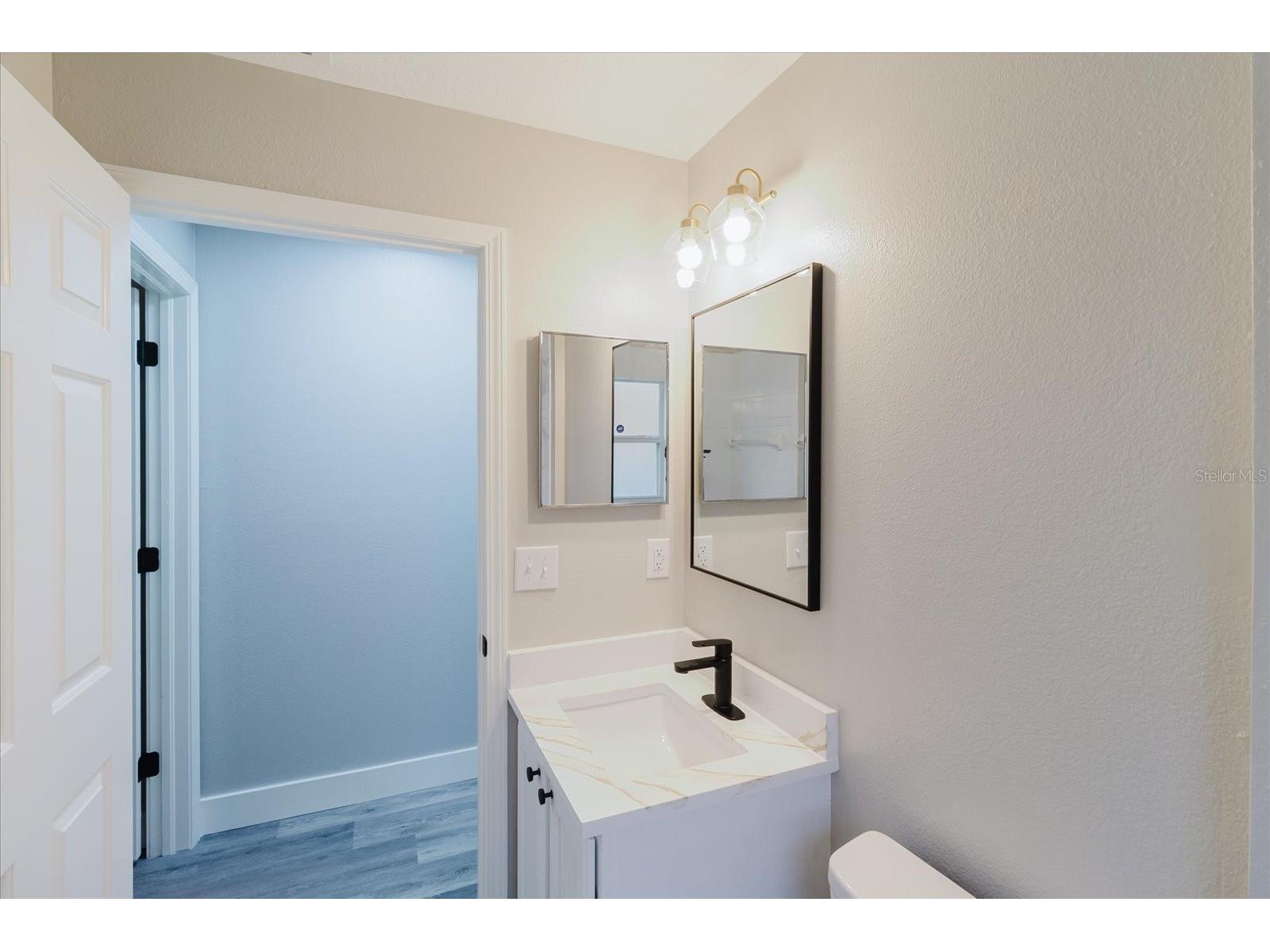 7861 Carriage Pointe Drive Gibsonton FL 33534 A4685549 image42