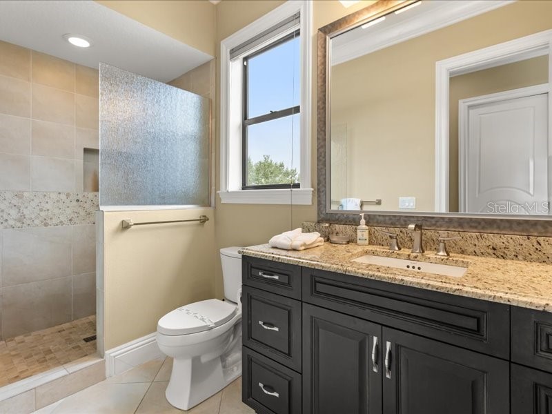 7863 Palmilla Court Reunion FL 34747 S5136871 image21