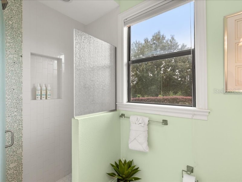 7863 Palmilla Court Reunion FL 34747 S5136871 image51