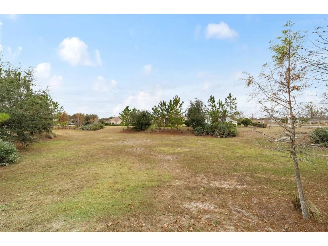 7863 SW 89th Loop Ocala FL 34476 OM714498 image64