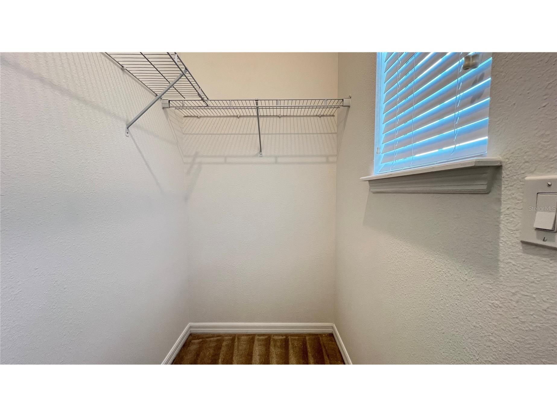 7867 Berkshire Oak Alley Windermere FL 34786 S5149947 image24