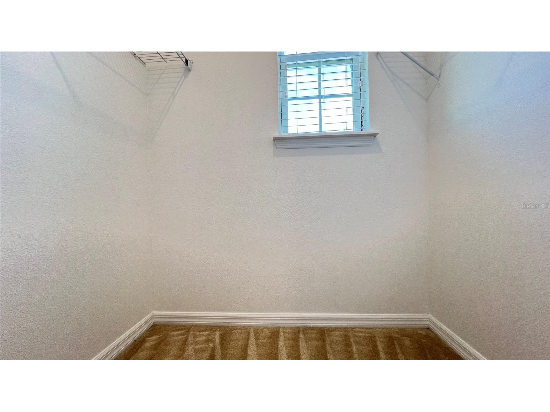 7867 Berkshire Oak Alley Windermere FL 34786 S5149947 image27