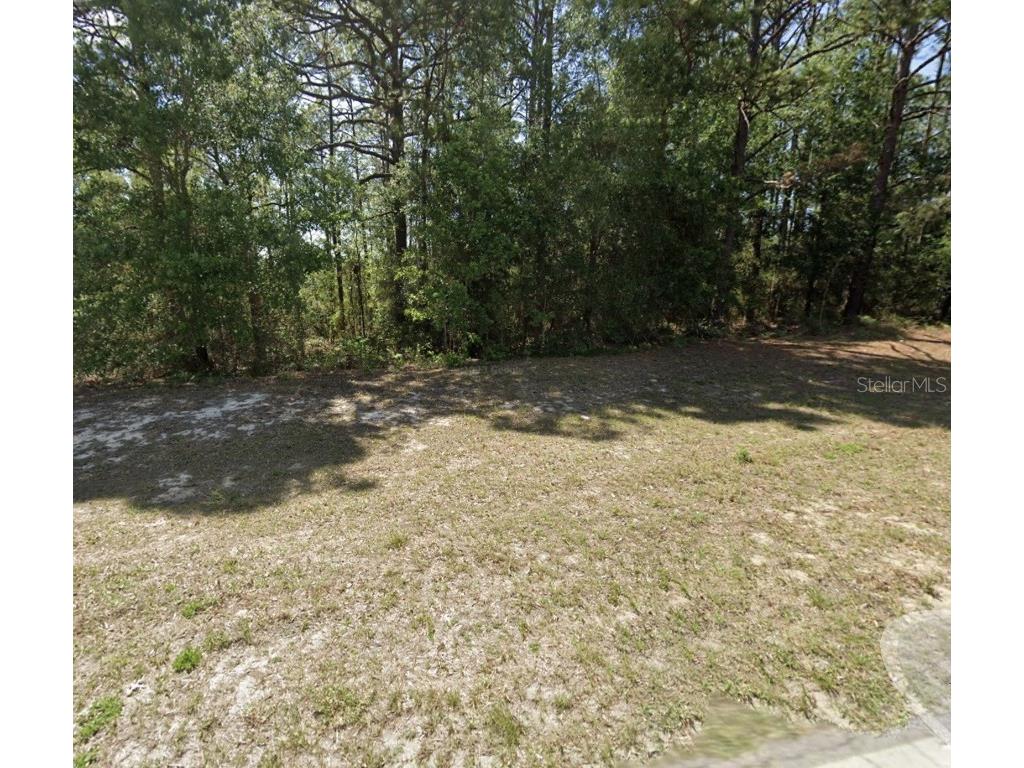 7868 N Elkcam Blvd Citrus Springs FL 34433 OM711325 image1