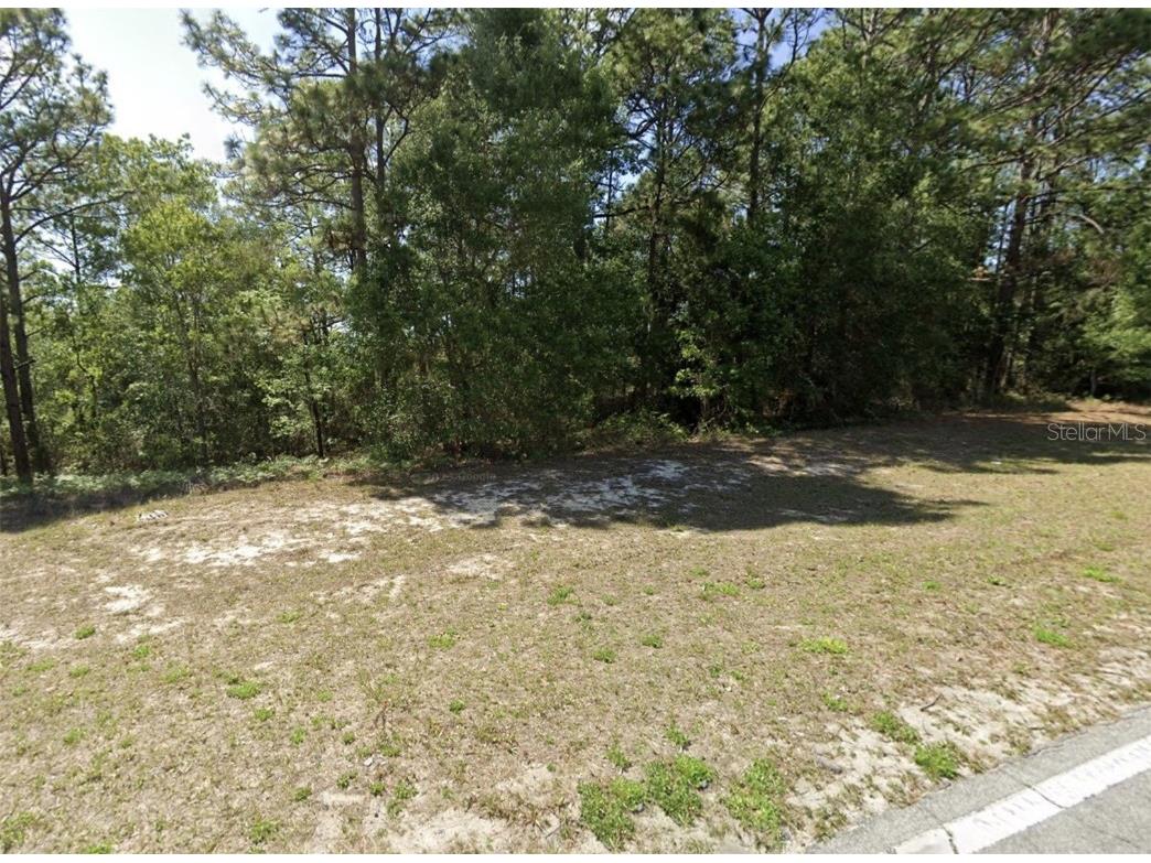 7868 N Elkcam Blvd Citrus Springs FL 34433 OM711325 image2