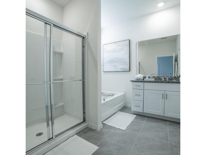 7868 Oak Reflection Loop Davenport FL 33837 O6334424 image13