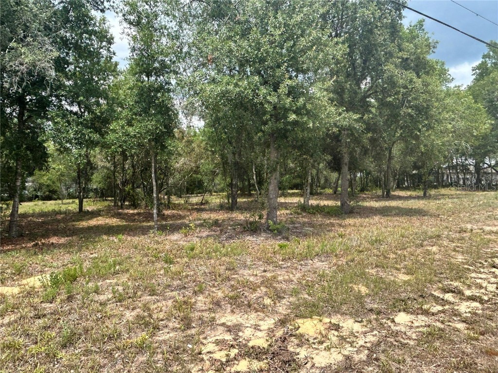 787 E Savoy Street Lecanto FL 34461 OM690123 image1