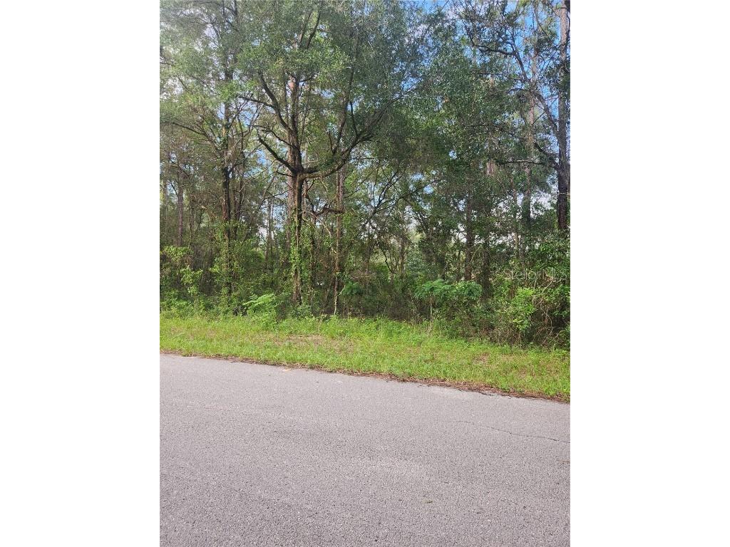 787 N Charles Avenue Inverness FL 34453 U8210172 image1