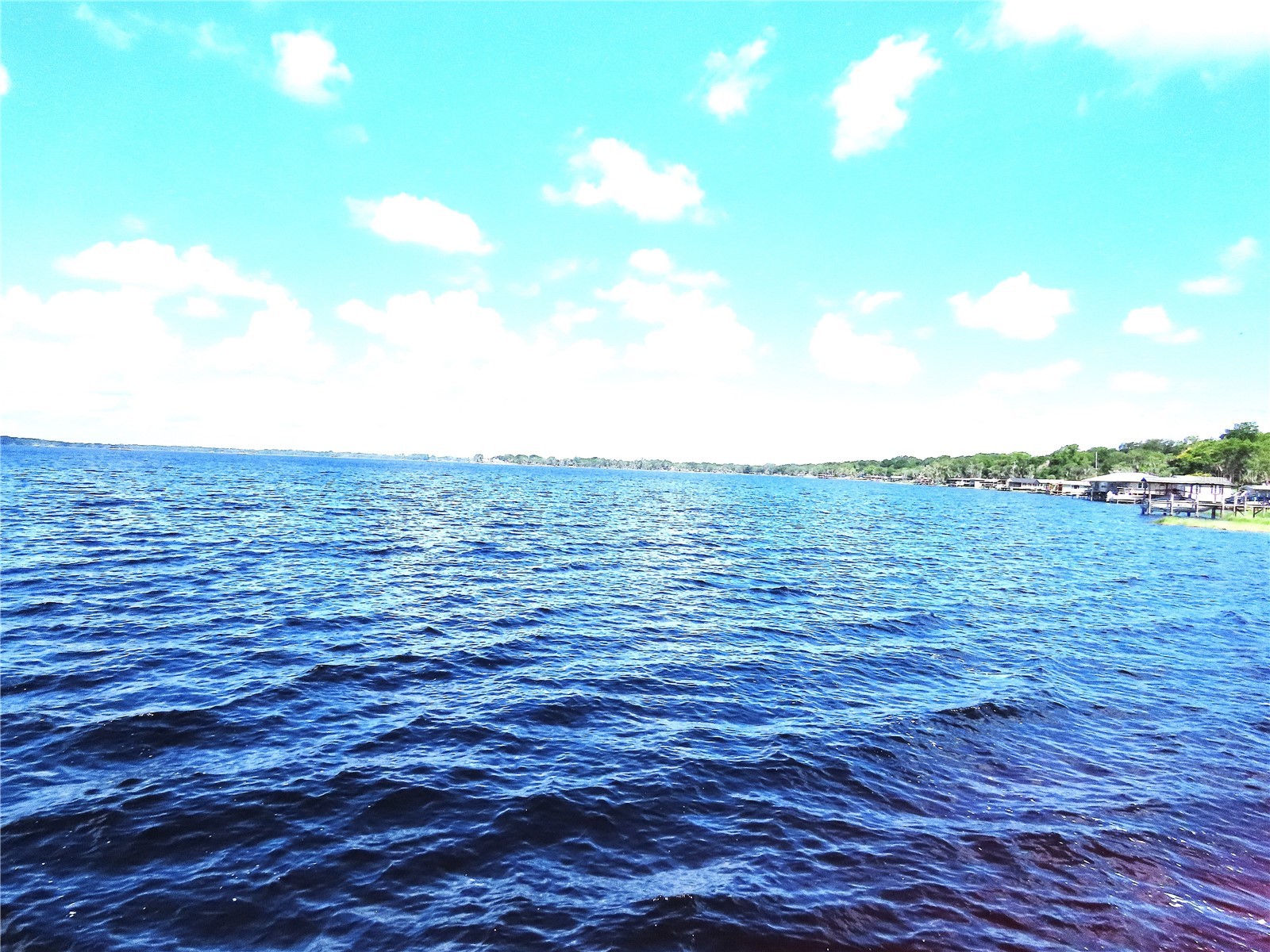 787 N Waterview Drive Clermont FL 34711 - LAKE MINNEHAHA G5113945 image39