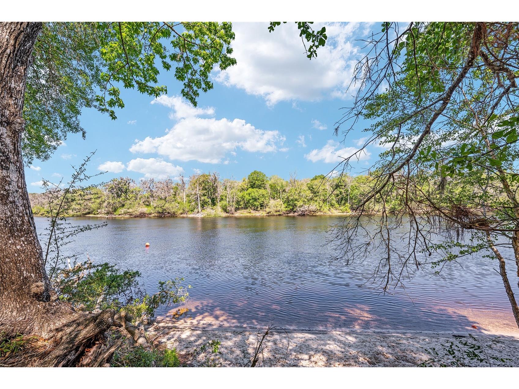 7870 SW 25th Place Bell FL 32619 - SUWANNEE RIVER GC539117 image4
