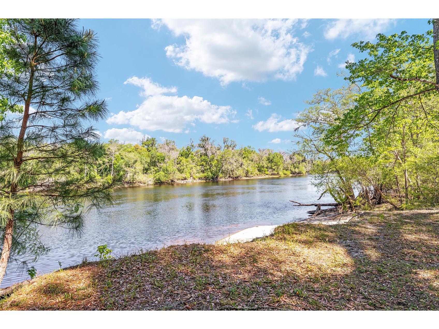 7870 SW 25th Place Bell FL 32619 - SUWANNEE RIVER GC539117 image41