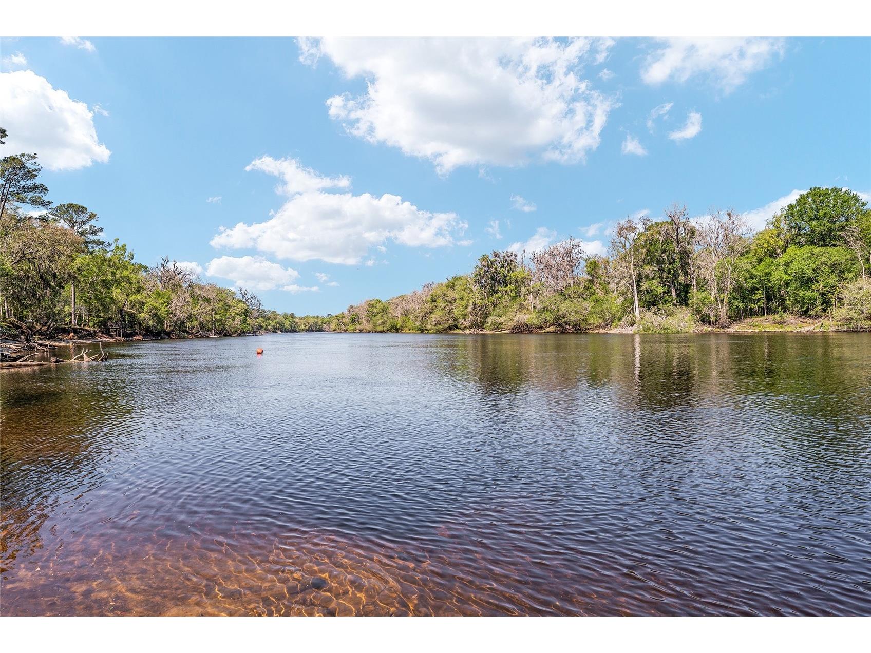 7870 SW 25th Place Bell FL 32619 - SUWANNEE RIVER GC539117 image44
