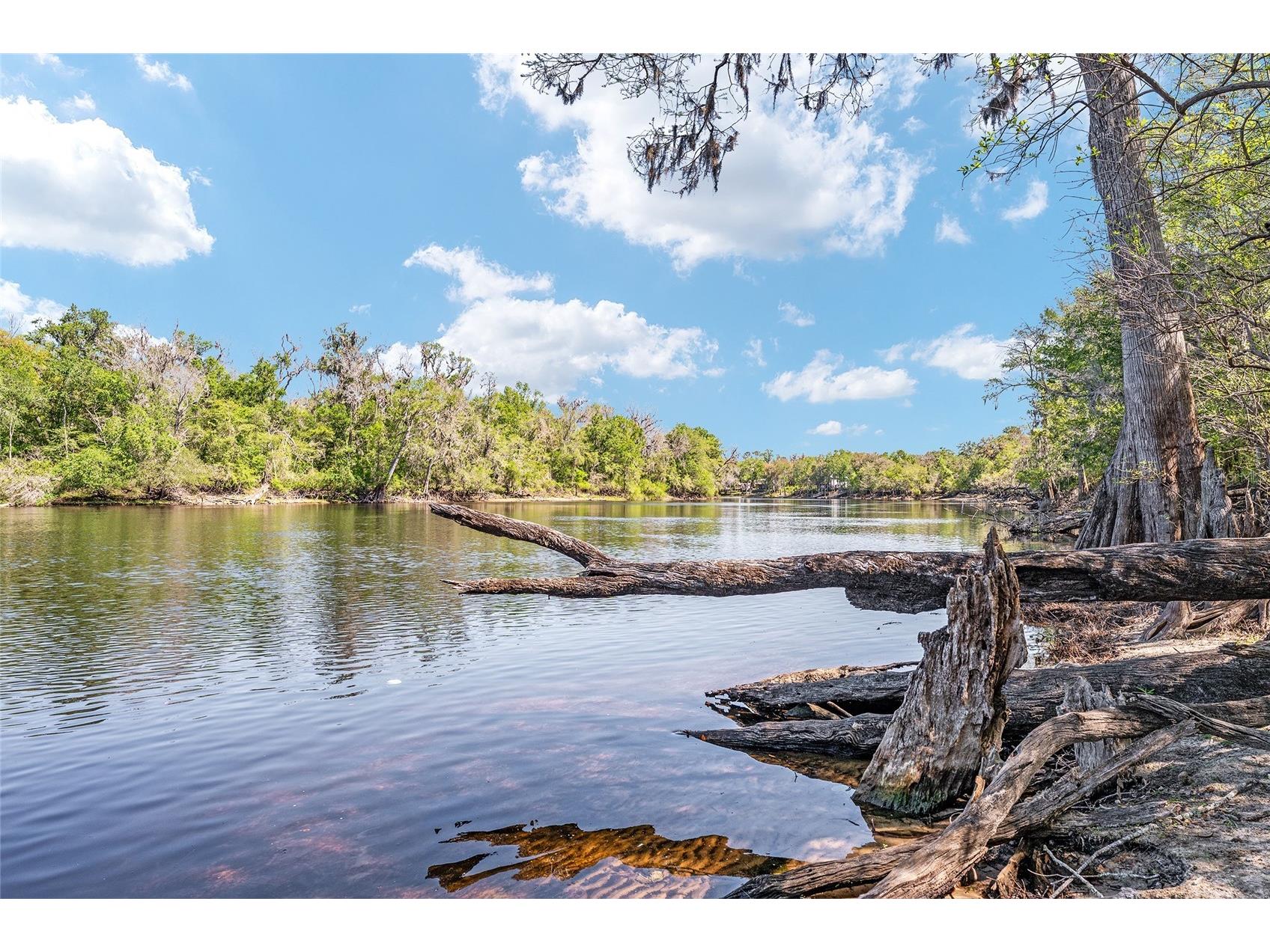 7870 SW 25th Place Bell FL 32619 - SUWANNEE RIVER GC539117 image45