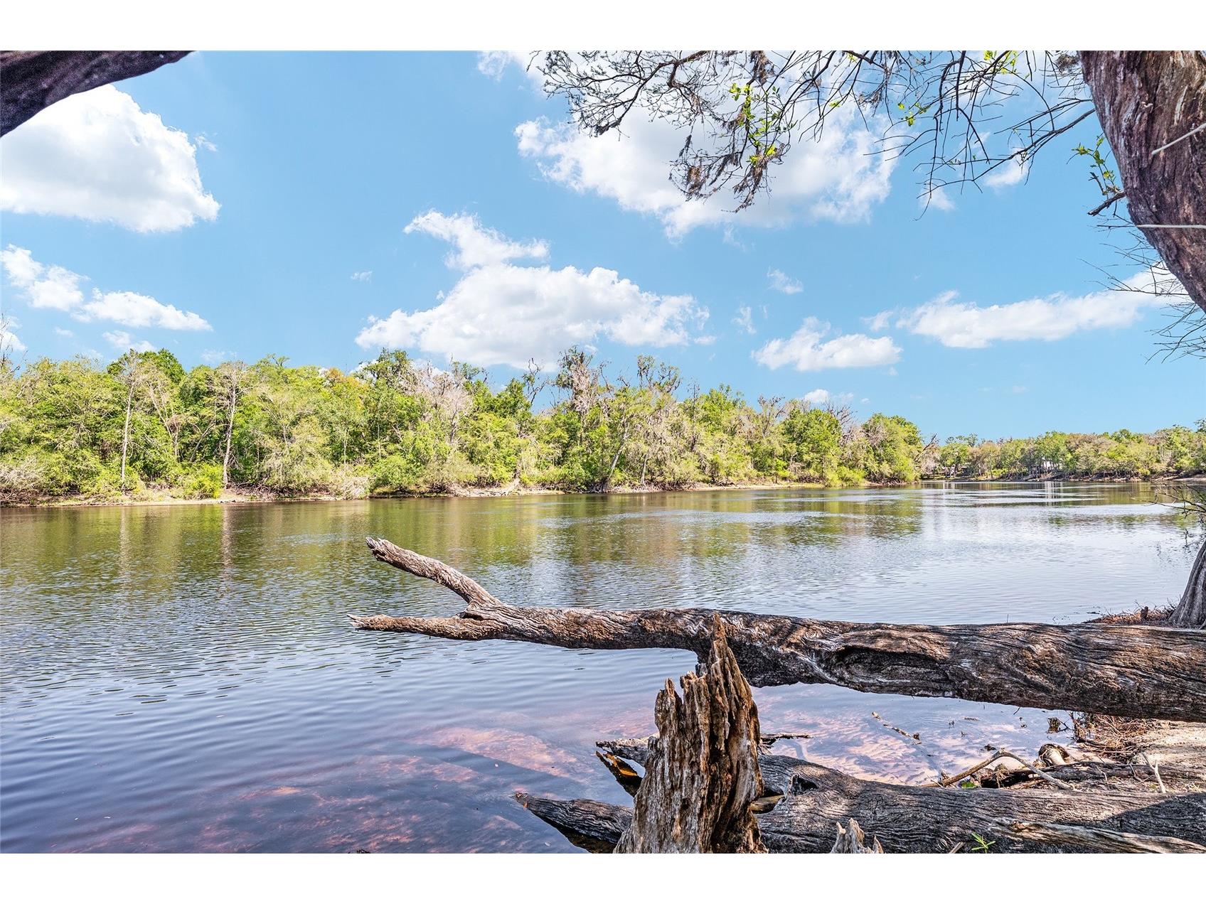 7870 SW 25th Place Bell FL 32619 - SUWANNEE RIVER GC539117 image46