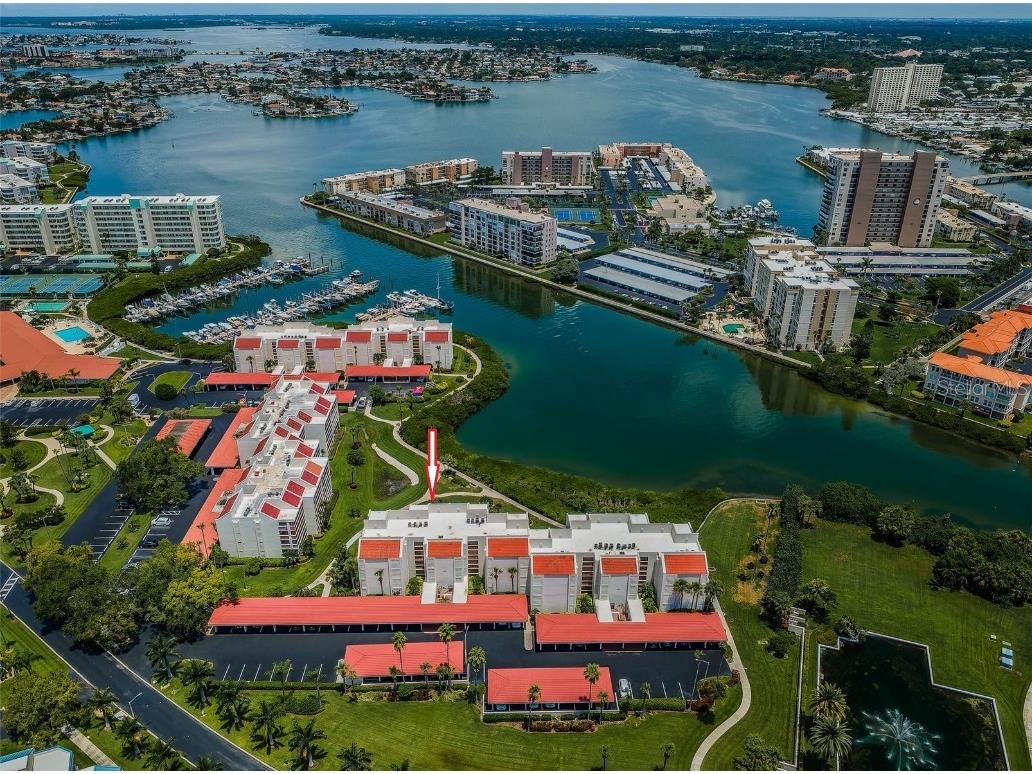 7871 Sailboat Key Boulevard S #307 South Pasadena FL 33707 U8233694 image1