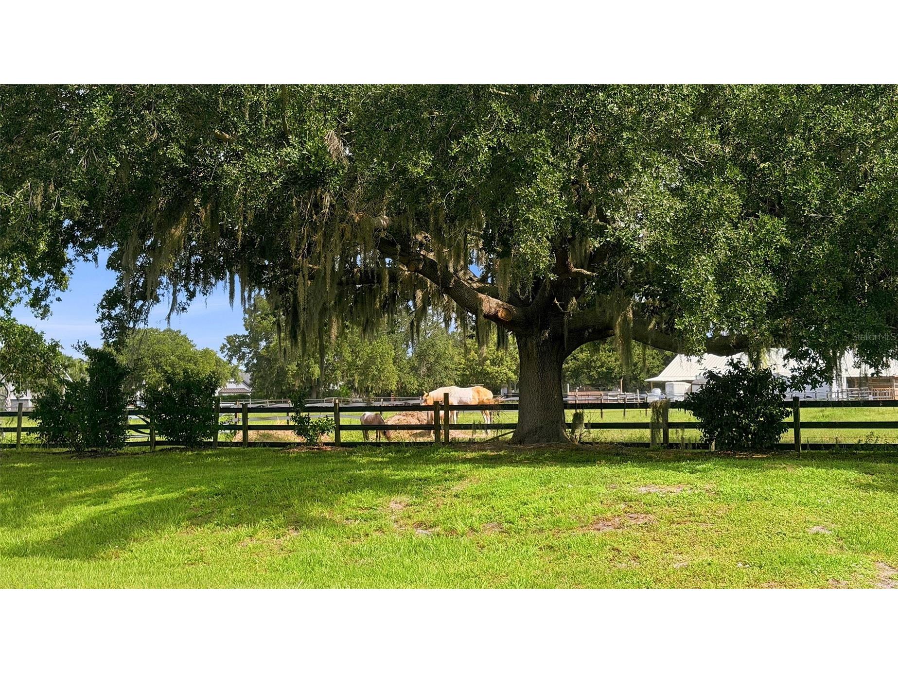 7872 Mainsail Lane Sarasota FL 34240 A4687553 image73