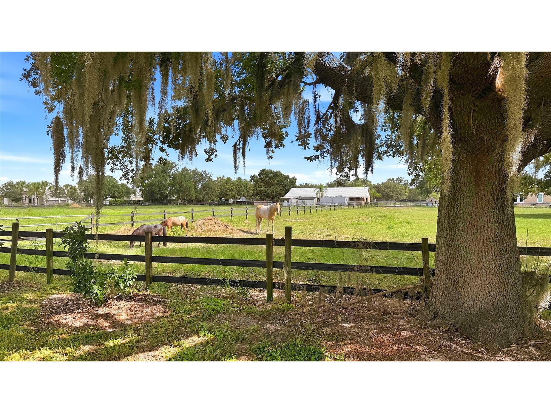 7872 Mainsail Lane Sarasota FL 34240 A4687553 image75