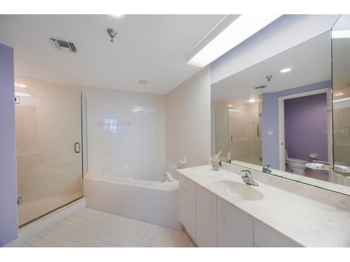 7872 Sailboat Key Boulevard S #602 South Pasadena FL 33707 TB8376529 image40