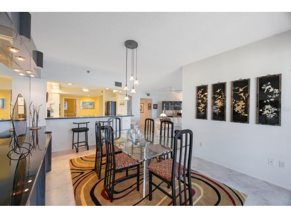 7872 Sailboat Key Boulevard S #602 South Pasadena FL 33707 TB8376529 image50