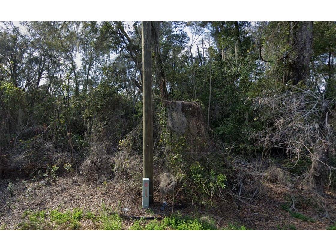 7873 S Choron Terrace Floral City FL 34436 OM709055 image10