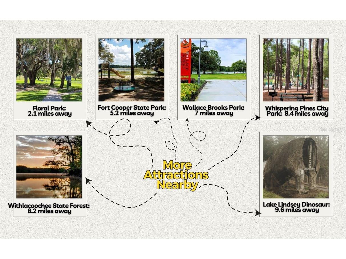 7873 S Choron Terrace Floral City FL 34436 OM709055 image11