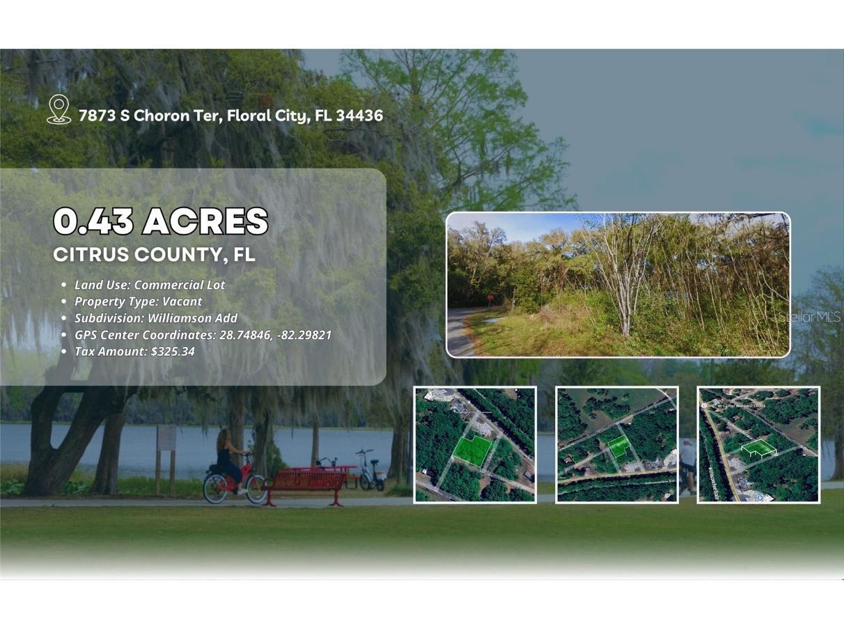 7873 S Choron Terrace Floral City FL 34436 OM709055 image2