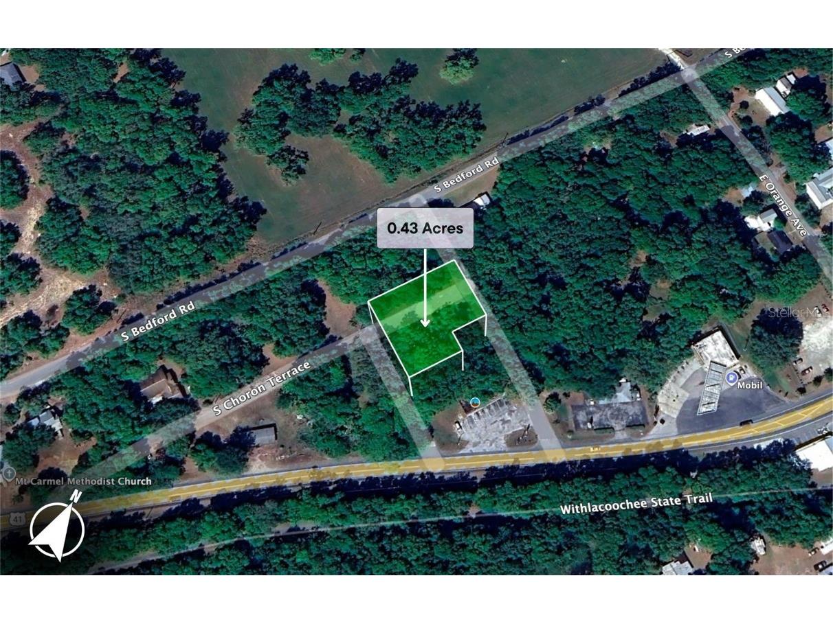 7873 S Choron Terrace Floral City FL 34436 OM709055 image4