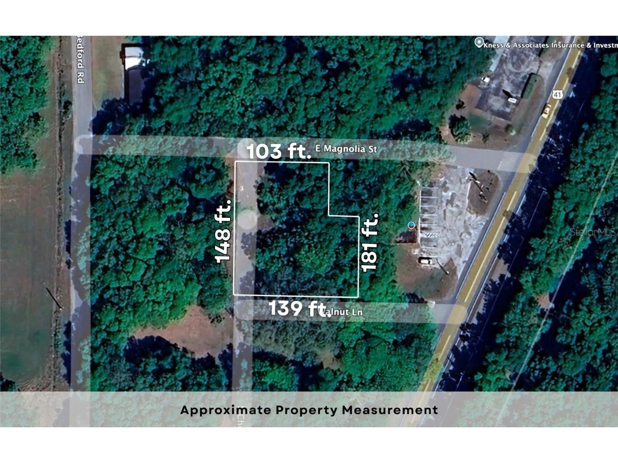 7873 S Choron Terrace Floral City FL 34436 OM709055 image5