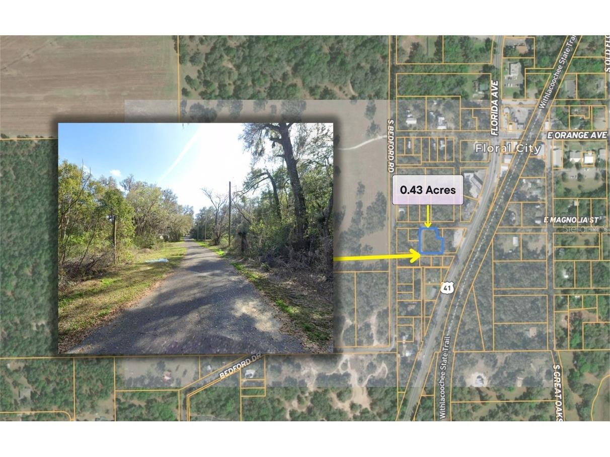 7873 S Choron Terrace Floral City FL 34436 OM709055 image6