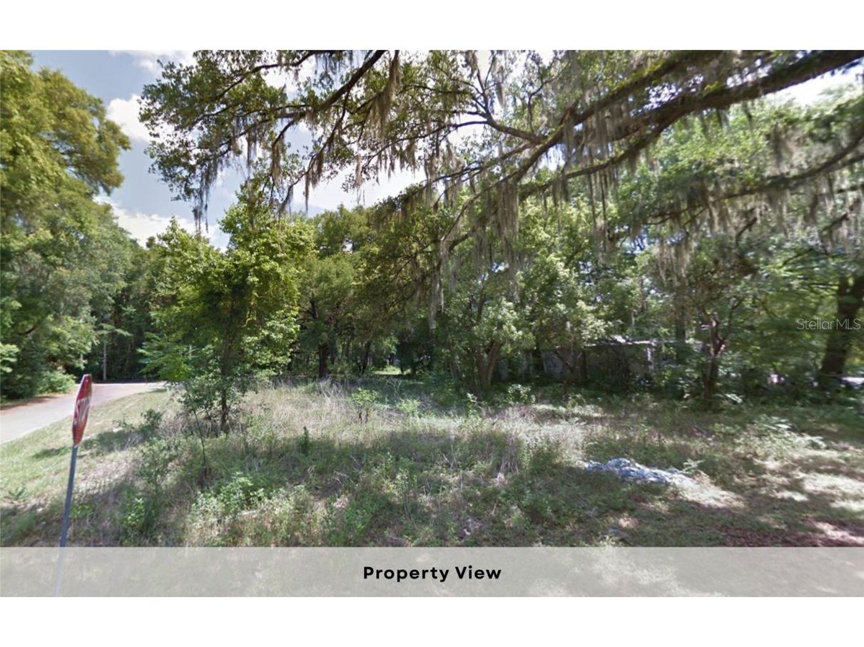 7873 S Choron Terrace Floral City FL 34436 OM709055 image7