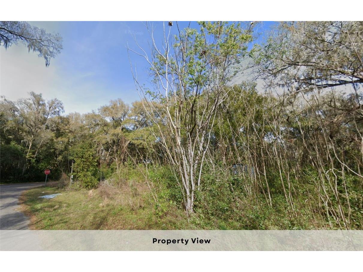 7873 S Choron Terrace Floral City FL 34436 OM709055 image8