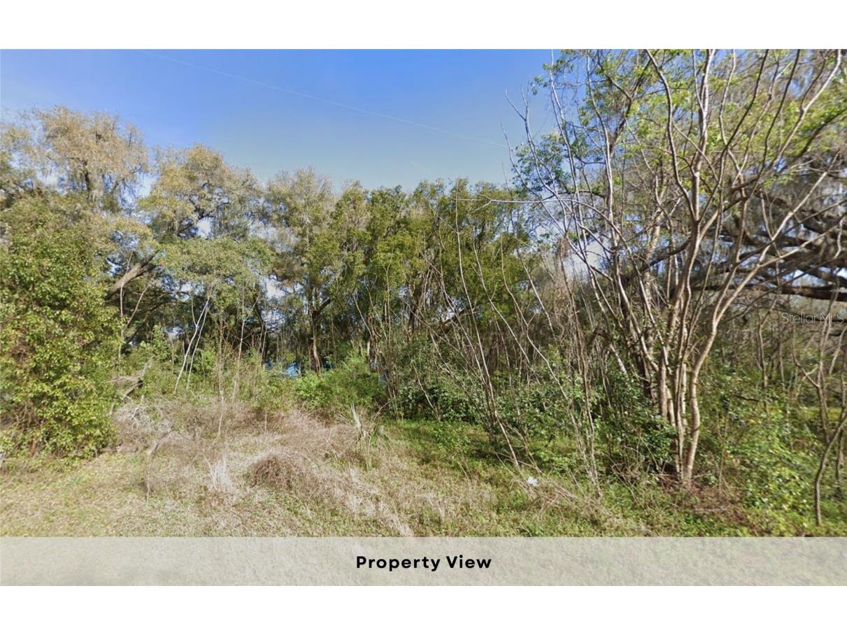 7873 S Choron Terrace Floral City FL 34436 OM709055 image9