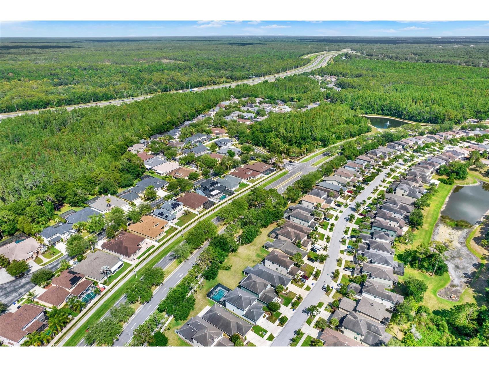 7873 Tuscany Woods Drive Tampa FL 33647 TB8509118 image33