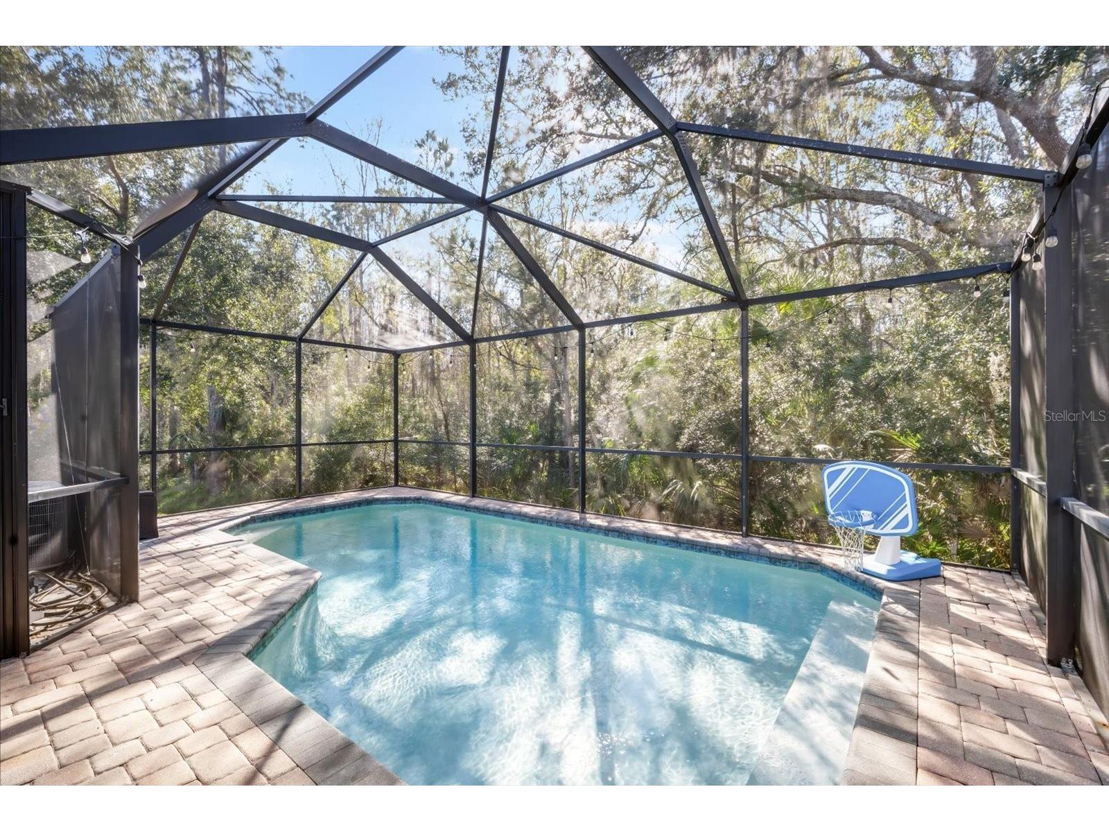 7878 Tuscany Woods Drive Tampa FL 33647 TB8466122 image2