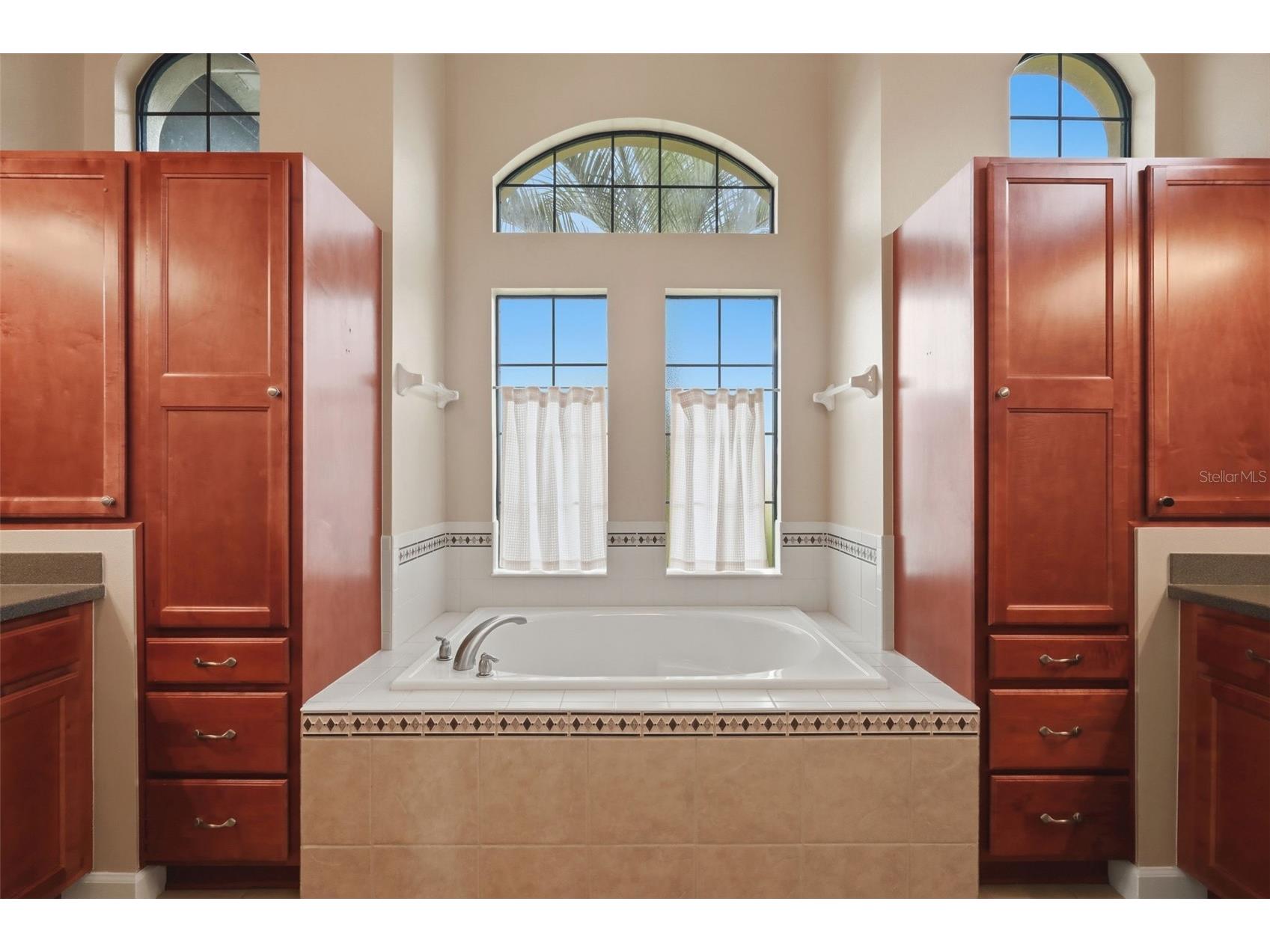7879 Crosswinds Way Mount Dora FL 32757 O6412955 image40