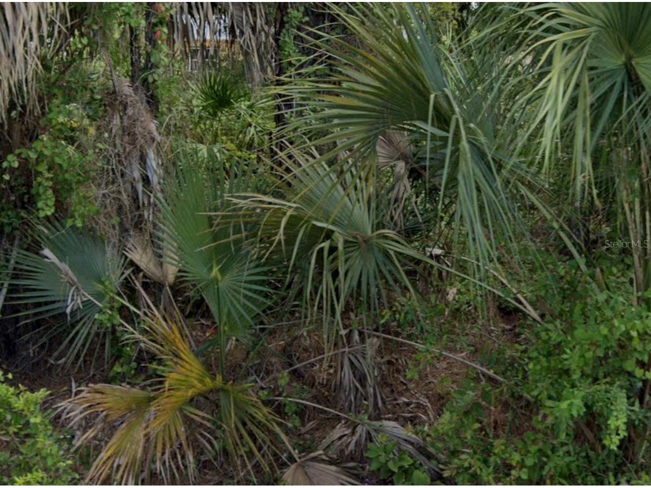 7879 Grafton Road North Port FL 34291 A4692575 image1